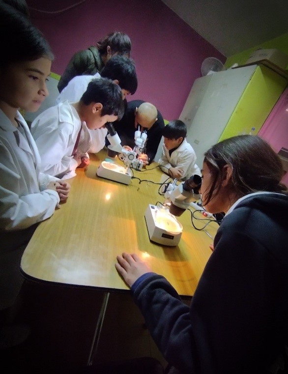 "Convivencia consciente: taxonomía y reubicación responsable de artrópodos, sin importancia médica"
