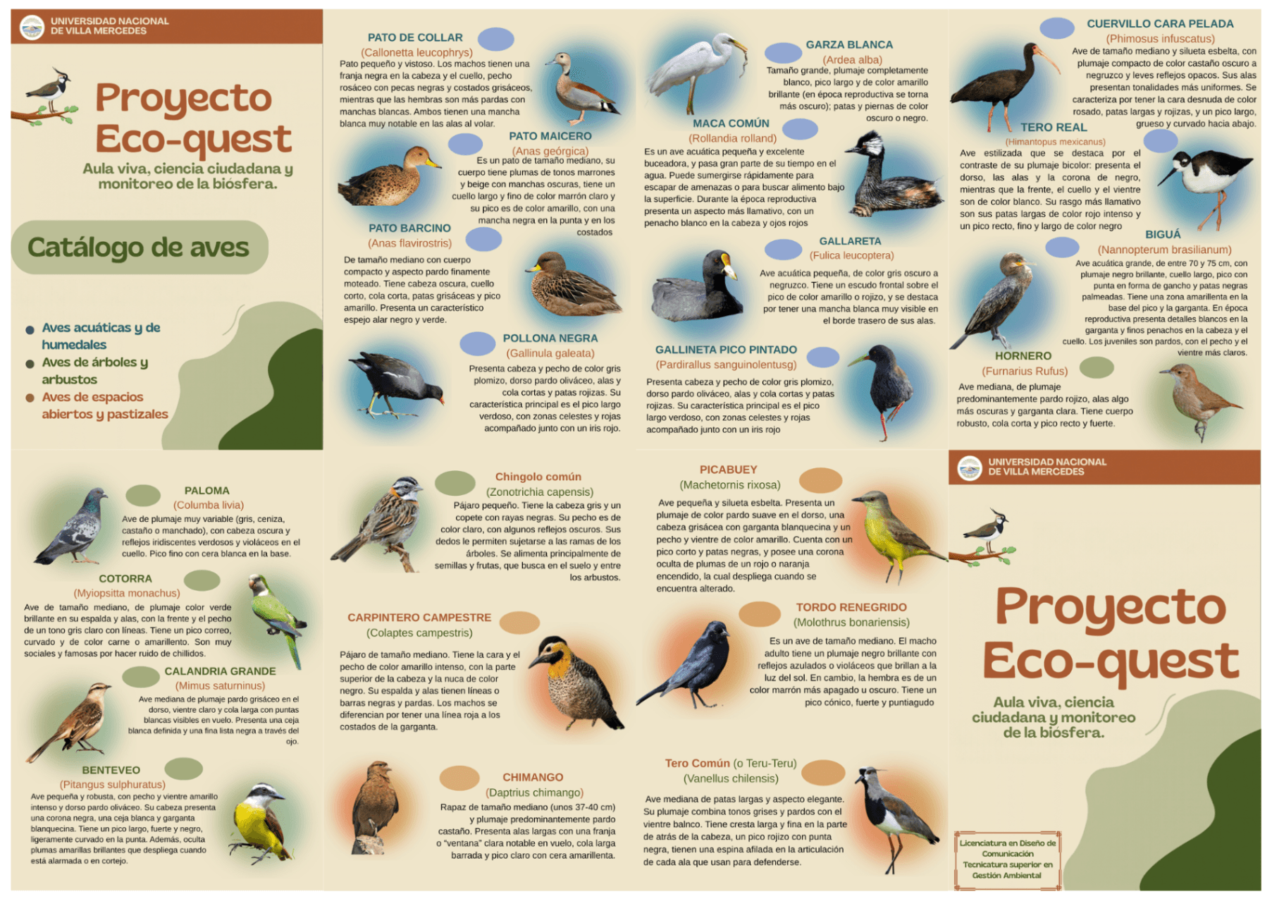 EcoQuest: herramientas para la identificación y el reconocimiento de aves